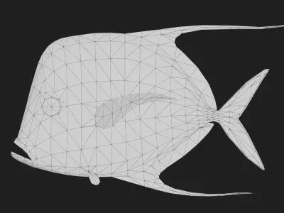 Trevally Low-poly 3D model 2