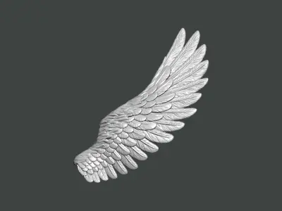 3D Model-WING0008 angel wing 3D print model