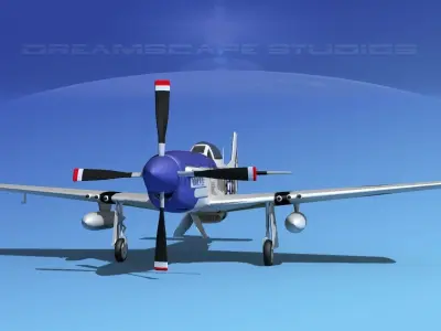 P-51D Mustang Nancy Lee 3D model