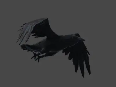 3D Animate Crow Low-poly 3D model