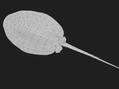 Stingray Low-poly 3D model