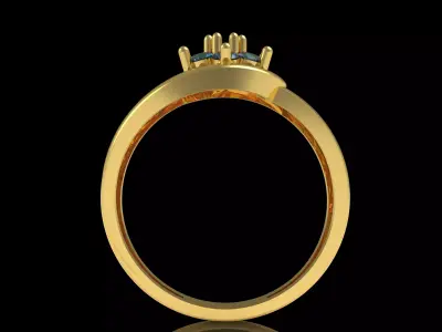 The Jamini Ring 3D print model