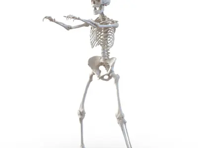 Human Skeletons Rigged Collection for Maya 3D model