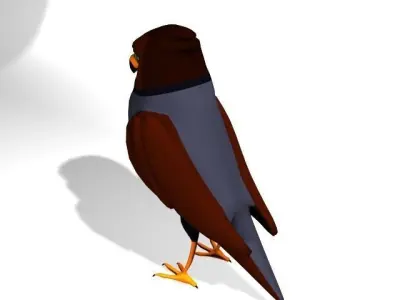 Cartoon Eagle  3D model