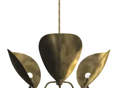 Chiton 3 Chandelier 3D model