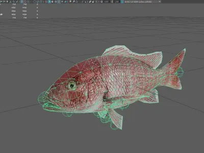 Snapper Low-poly 3D model 7