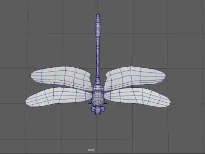 Dragon fly model 3D model