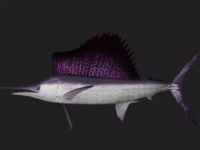 Sailfish Low-poly 3D model purchase
