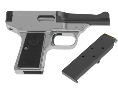 Davis Warner Infallible 3D model