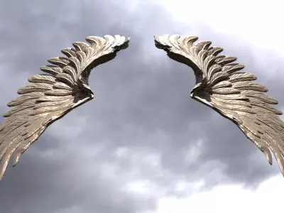 Serafim Curved wings 1  3D model