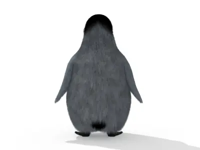 Penguin 3D model shop