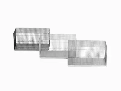 Large Birdcage Set 3D model