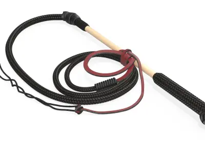 Leather Bullwhip Coiled Black Rigged 3D model