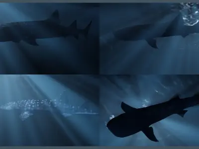 Deep Ocean Environment Low-poly 3D model