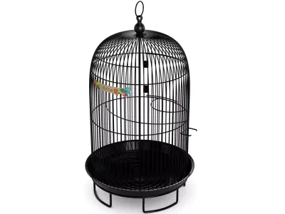 Animal accessories Bird Cage 3D model