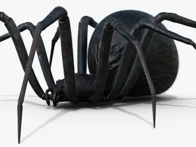 Black Widow Rigged Animated 8K PBR Textures 3D model