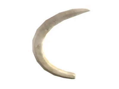 Boar Tusk - Game Ready Low-poly 3D model