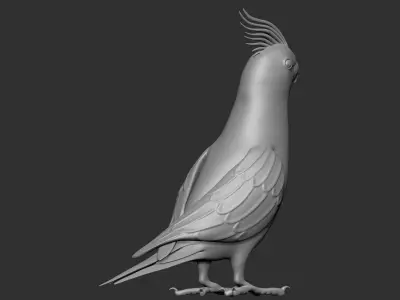 Parrot Low-poly 3D model buy