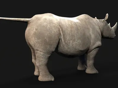 Rhino rhinoceros Low-poly 3D model