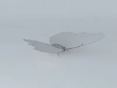Butterfly peacock Free 3D model