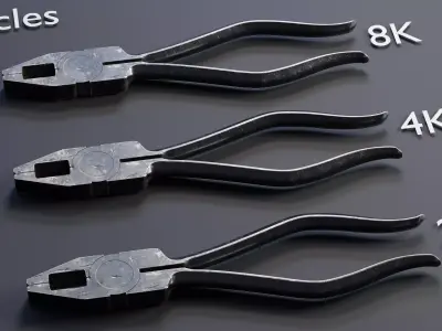 Worn Vintage Metal Pliers 3D model
