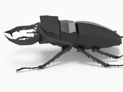 Bug low poly beetle Low-poly 3D model