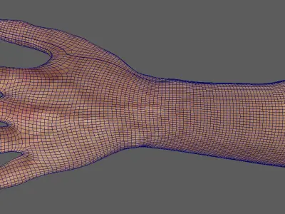 high resolution hand ready for close shoots  3D model