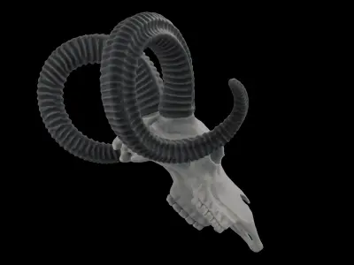 Ram Skull HighPoly Free 3D model
