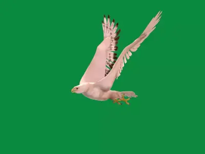 Gyrfalcon Bird Free low-poly 3D model