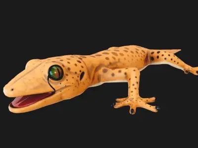 Low poly Stylized lizard Low-poly 3D model