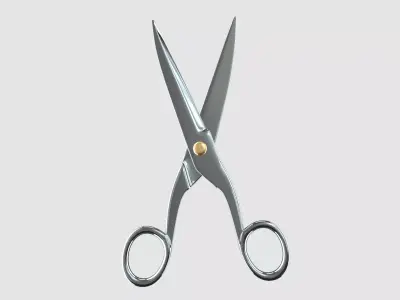 Scissors 1303 3D model