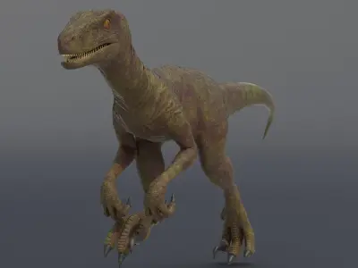 Velociraptor dinosaur Low-poly 3D model buy