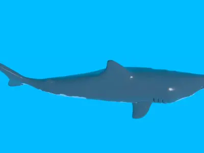 Great White Shark BLEND OBJ FBX DAE GLB 3D model