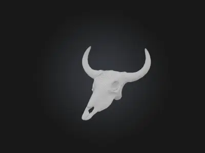 Oxtail Model Low-poly 3D model