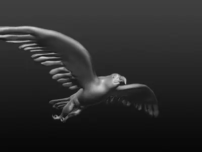 bald eagle 3D model