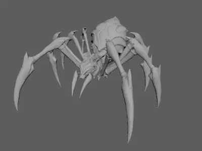 Spider 3D model 24