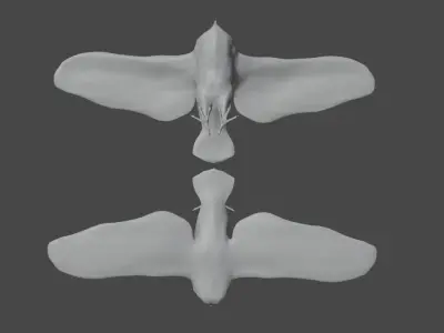 Barn Owl Free 3D model
