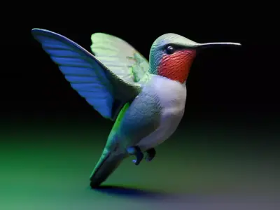 hummingbird 3D model purchase