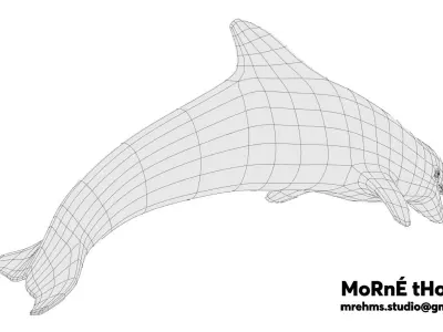 Dolphin Free 3D model buy