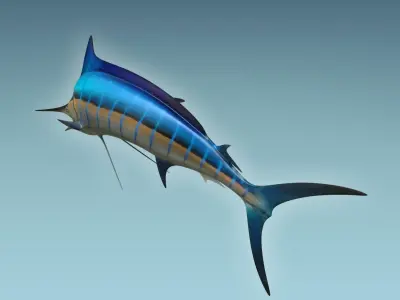 Marlin 3D model