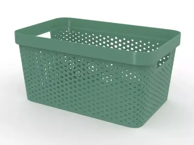 H2000420 BASKET GREEN 3D model