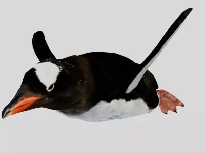 Penguin Low-poly 3D model shop