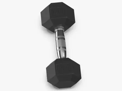 Rubber Dumbbell 10kg 3D model