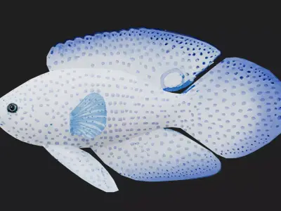 Plesiops Low-poly 3D model purchase