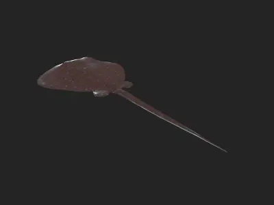 Stingray 3d low poly model Low-poly 3D model