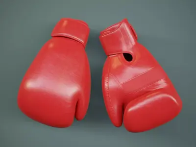 Boxing Gloves PBR Low-poly 3D model