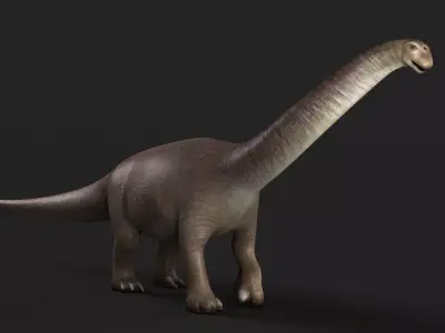 reptile cretaceous jurassic park trex rex dinosaur  3D model