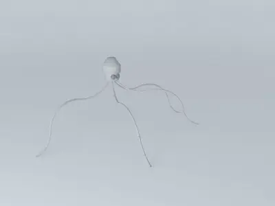 calamari squid Free 3D model