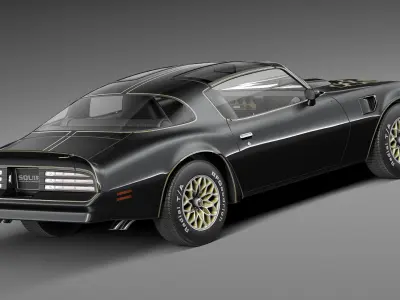  Pontiac Firebird Trans Am 1979-81 SE 