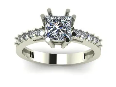 Princess Ring  3D print model